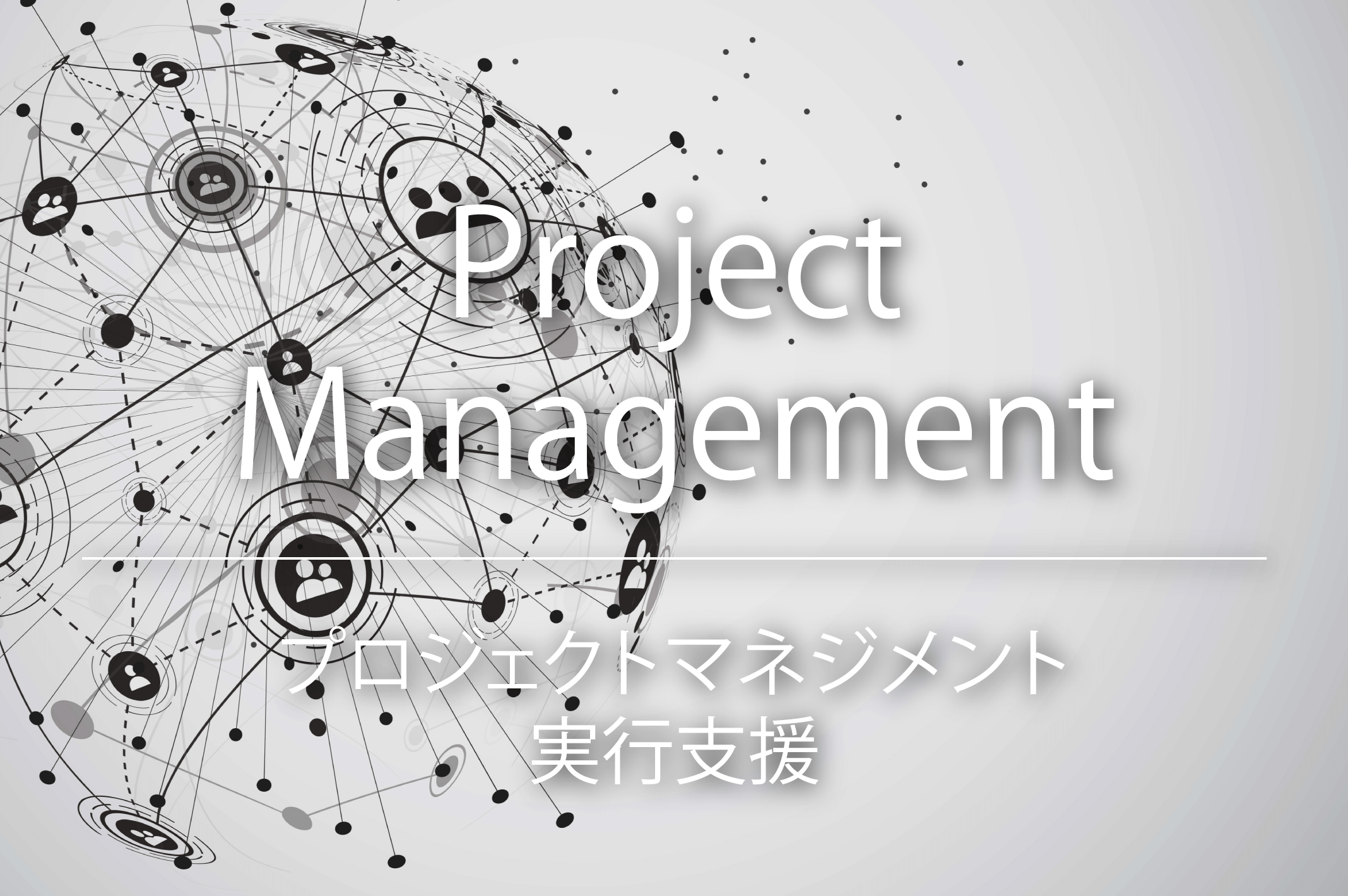 プロジェクトマネジメント実行支援